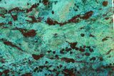 Coated Chrysocolla & Malachite Slab - Bagdad Mine, Arizona #114259-1